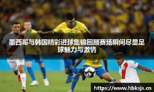 LETOU国际米兰官网